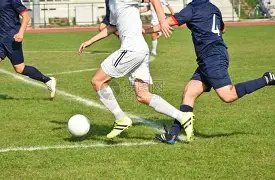 郑钦文与萨,巴伦卡同区,竞技,拼搏在线彩神通,彩票预测,彩票平台,在线投注,彩票服务