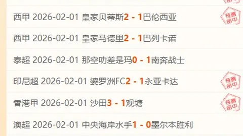 金观平剖析：春节购物展现强劲内需前景